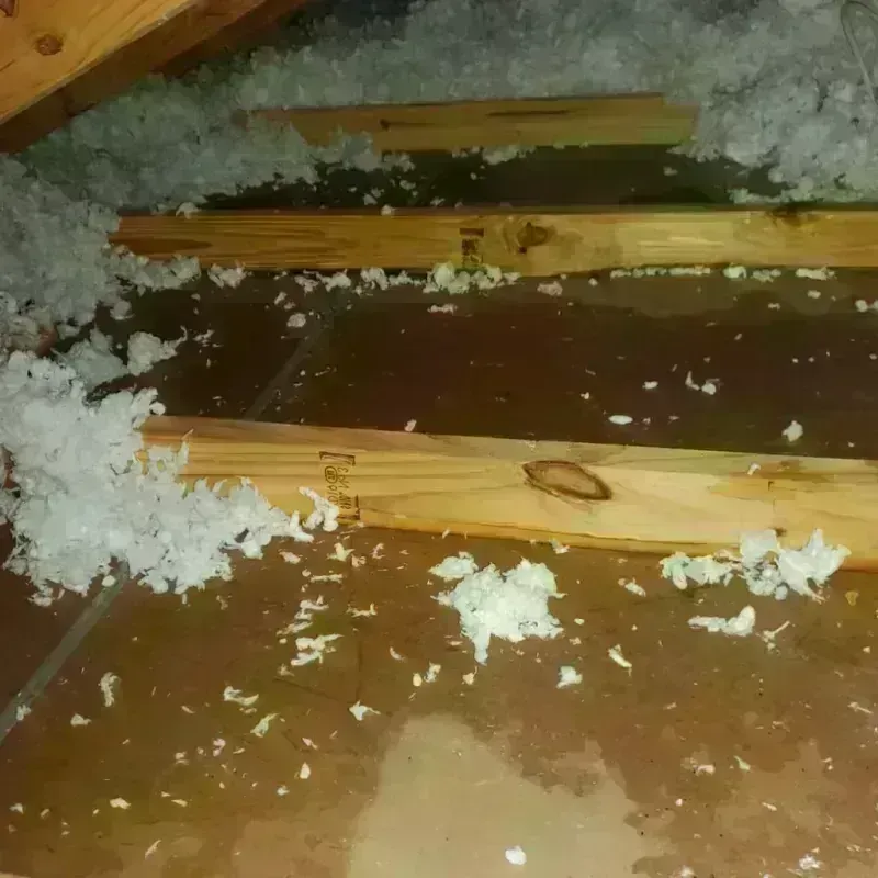 Attic Water Damage in Orwell, OH